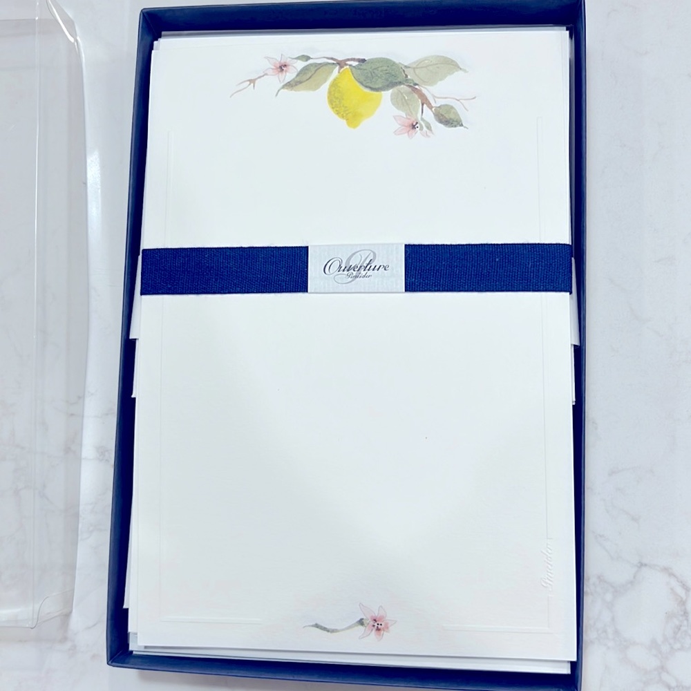 VINTAGE Pineider stationery and envelopes- 20 pieces